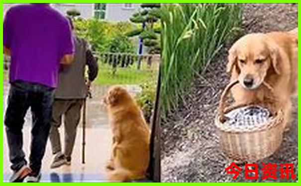 甘南旅游必去景点有哪些